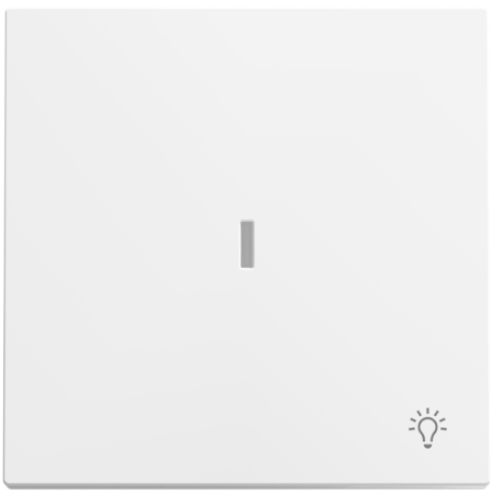 Tecla con símbolo de luz y visor ALBA Infinity Niessen