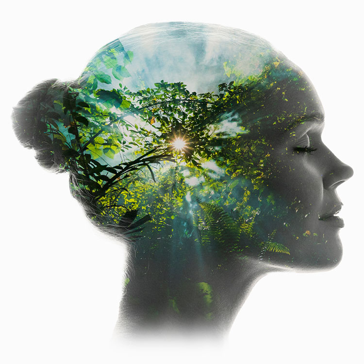 ALBA diseño respeto medioambiente